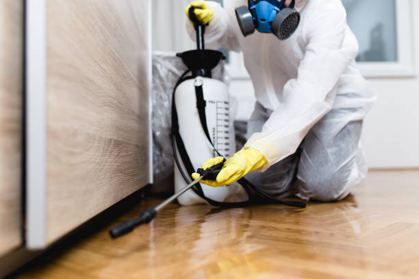 Best Cockroach Control Services  in Shawneeland, VA
