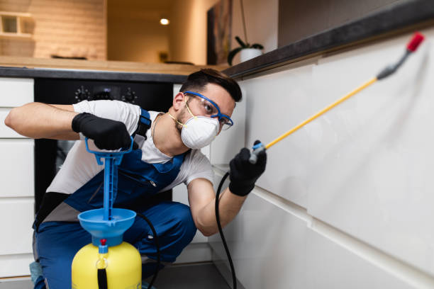 Best Pest Inspection Near Me  in Shawneeland, VA