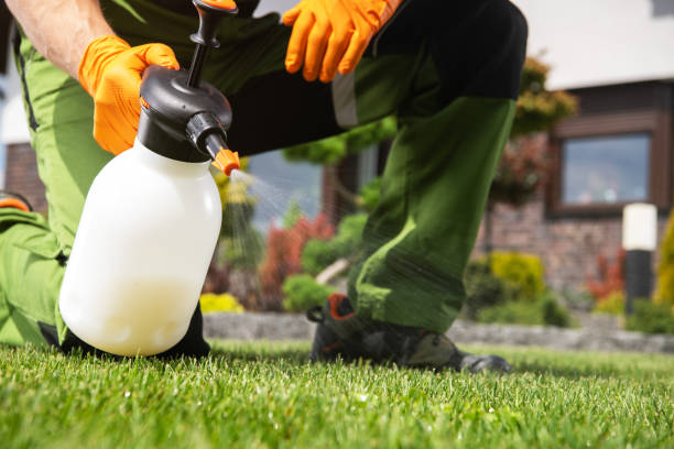 Wasp Removal Services in Shawneeland, VA