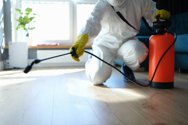 Best Wasp Removal Services  in Shawneeland, VA
