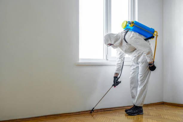 Best Pest Inspection Near Me  in Shawneeland, VA