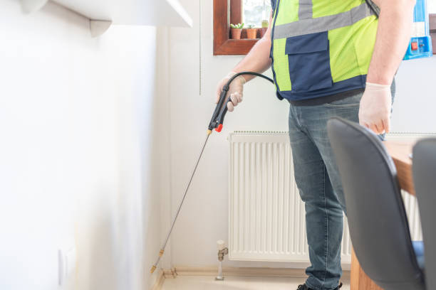 Best Termite Control Services  in Shawneeland, VA