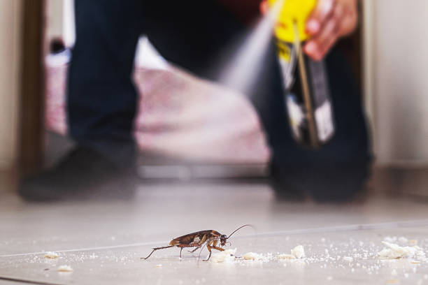 Best Pest Inspection Near Me  in Shawneeland, VA